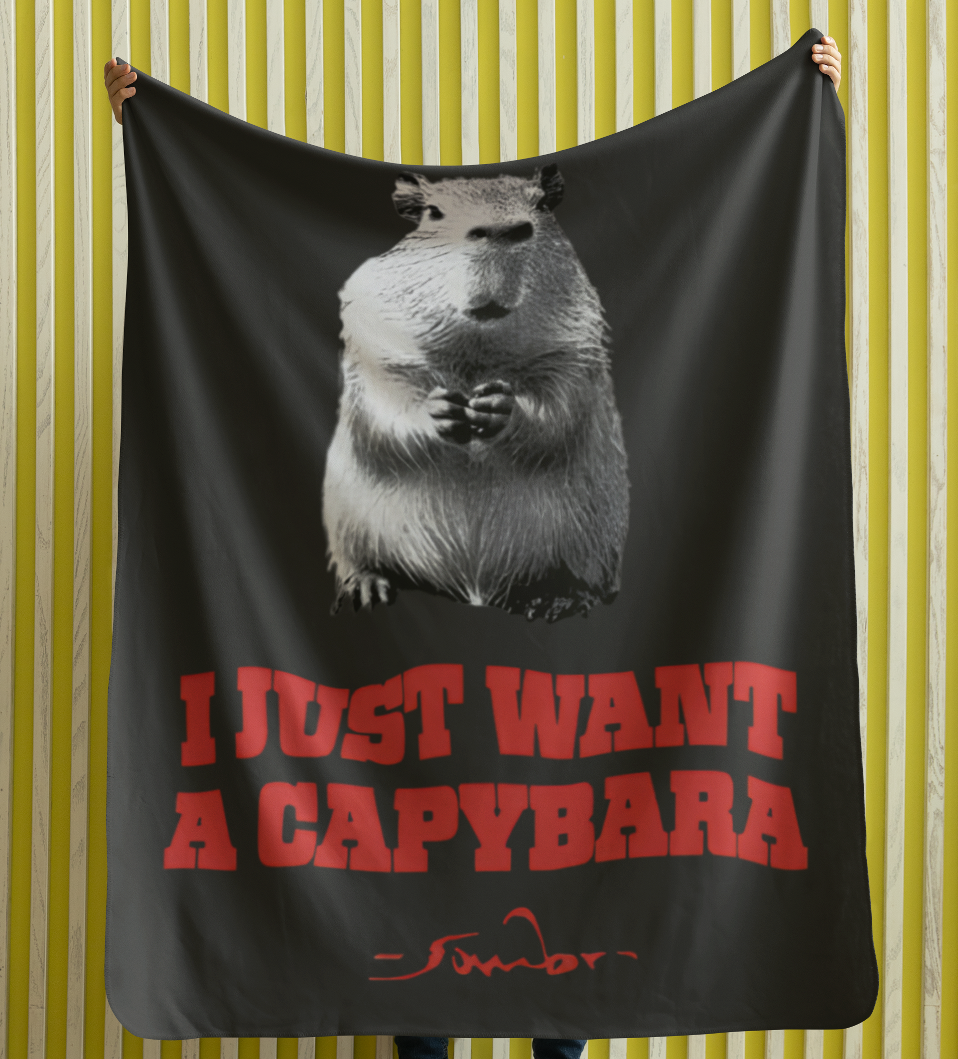 I Just Want A Capybara Blanket - Image 2