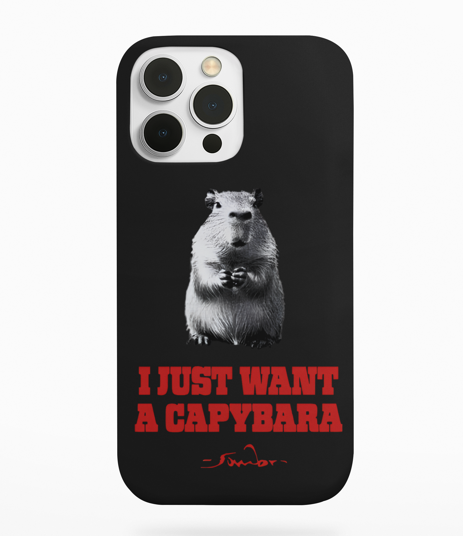 I Just Want A Capybara Phone Case