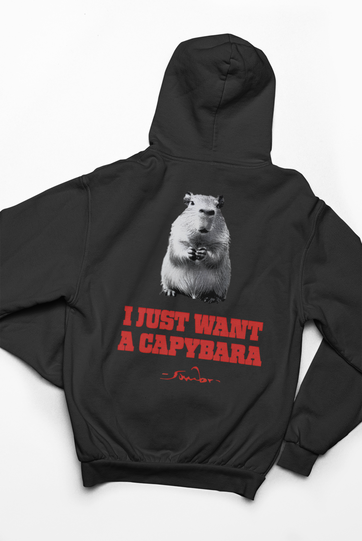 I Just Want A Capybara Hoodie - Image 2